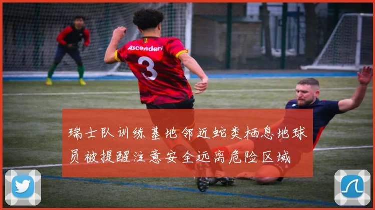 瑞士队训练基地邻近蛇类栖息地球员被提醒注意安全远离危险区域