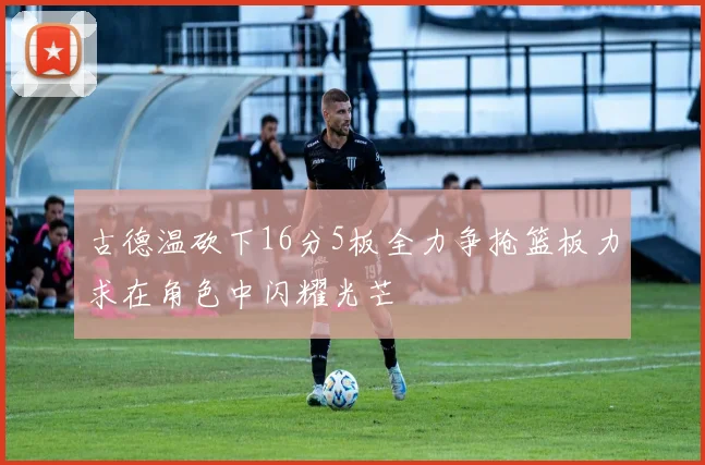 古德温砍下16分5板全力争抢篮板力求在角色中闪耀光芒