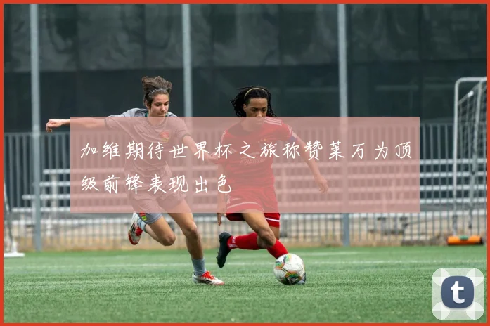 加维期待世界杯之旅称赞莱万为顶级前锋表现出色